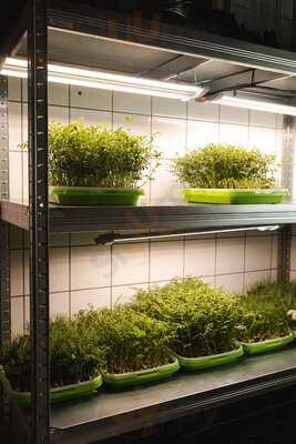 Kunsthalle Praha Bistro