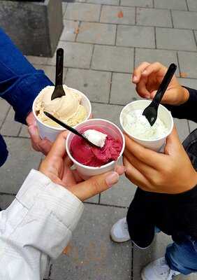 True & 12 Handmade Ice Cream