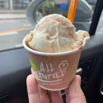 True & 12 Handmade Ice Cream