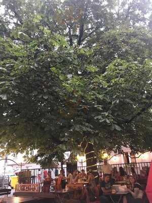 Boheme - Kaffeehaus & Restaurant