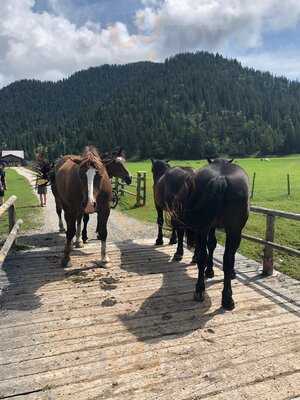 Almgasthof Esterberg
