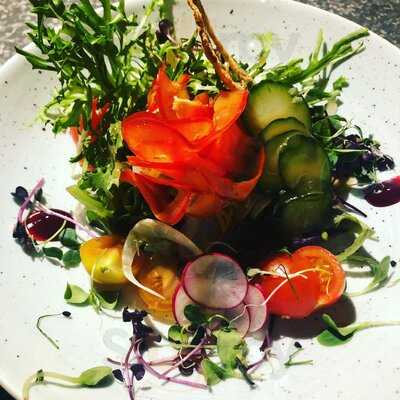 Falco Ristorantino Gmbh