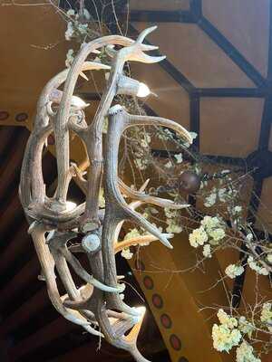 Restaurant Heilig-geist-spital Nürnberg