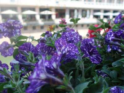 Cafe & Bar Celona Nürnberg