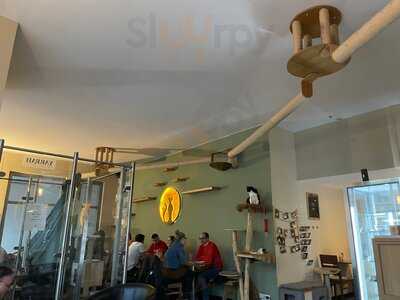 Katzentempel München