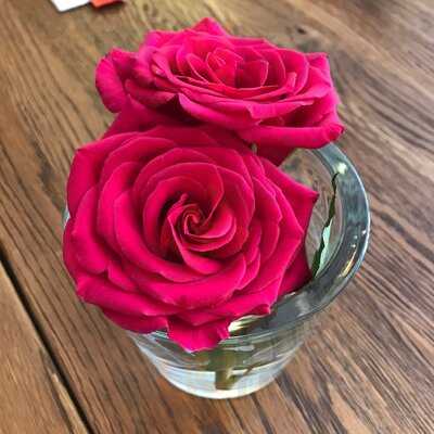 Konoha Sushi & Nudelsuppe