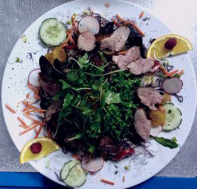 Goldener Stern / Stella Aureum