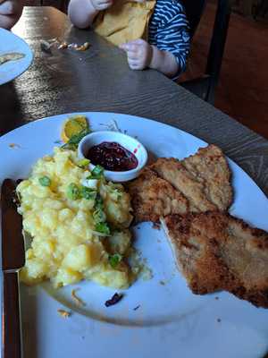 Goldener Stern / Stella Aureum