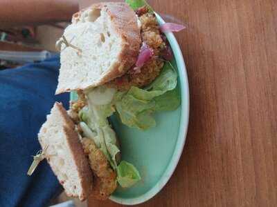 Katzentempel Nürnberg