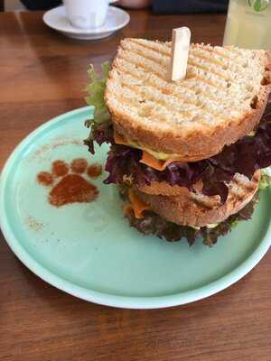 Katzentempel Nürnberg