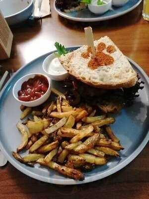 Katzentempel Nürnberg