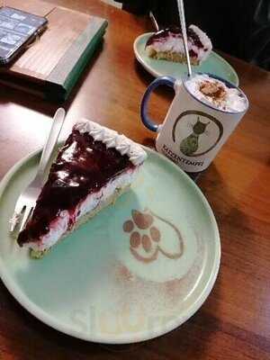 Katzentempel Nürnberg