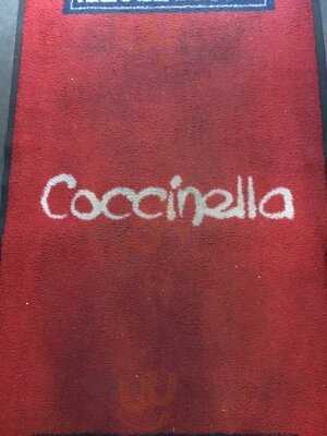 Coccinella
