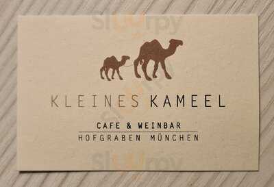 Kleines Kameel