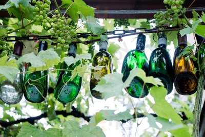 Winzerhof Weinstuben