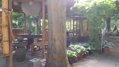 Thairestaurant Orchidee