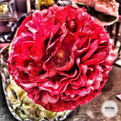 Selmans Restaurant & Bar