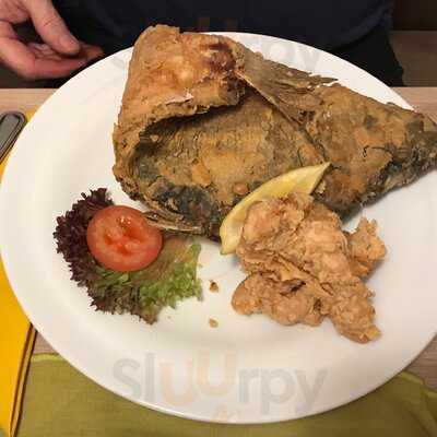 Blaue Traube Im Turnerbund