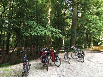 Grüner Felsenkeller