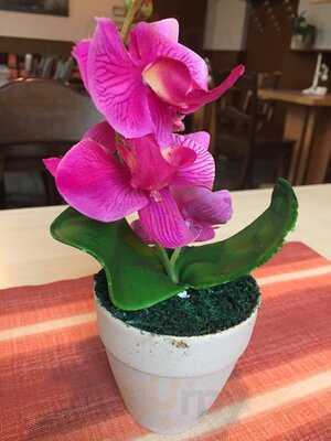 Ristorante Da Antonio