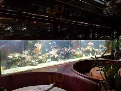 China Restaurant Tang