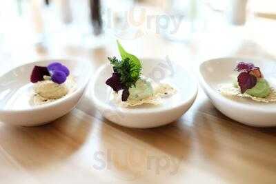 Prinz Myshkin Garden