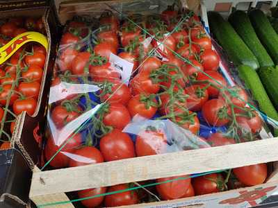 Da Giuseppe - La Vita E Bella