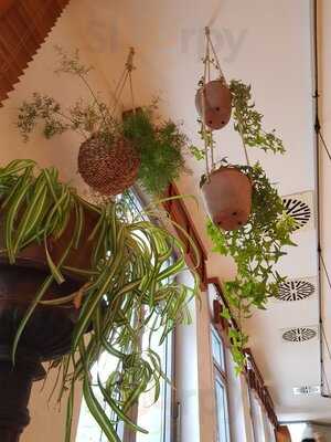 Basic Bio-buffet & Restaurant