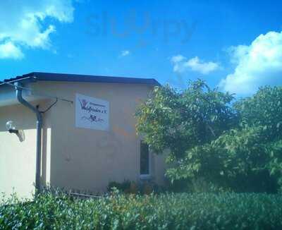 Kleingartenverein Waldfrieden