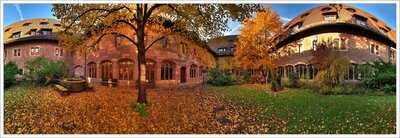 Zeitungs Cafe Hermann Kesten