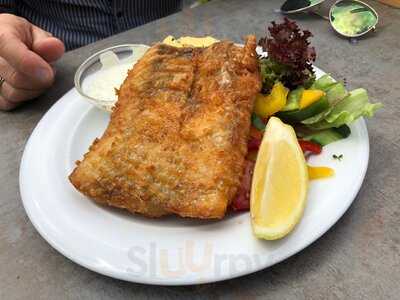 Sendlinger Berg Fischer