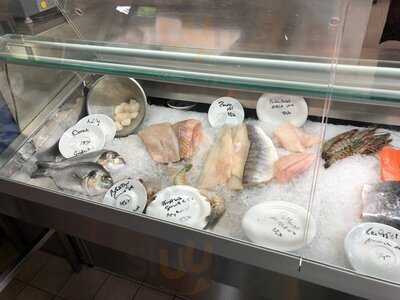 Sendlinger Berg Fischer