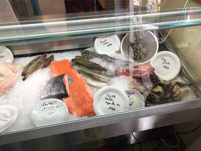 Sendlinger Berg Fischer