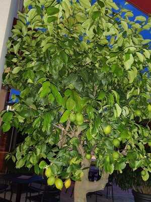 L'osteria München Bauhausplatz