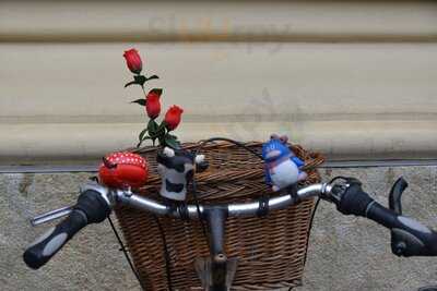 Cafe An Der Uni (cadu)