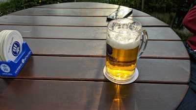 Wirtshaus Zum Holzlwirt Biergarten