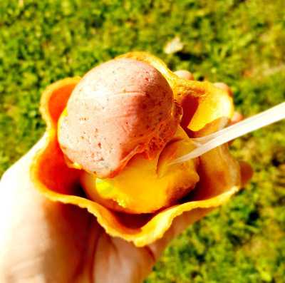 Del Fiore Gelato - Roecklplatz