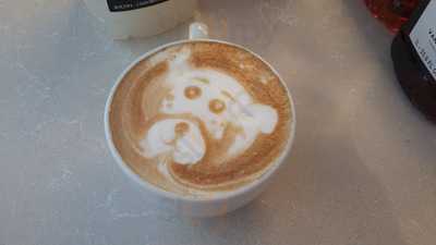 Primo Espresso Cafebar (digital Eatery Microsoft)