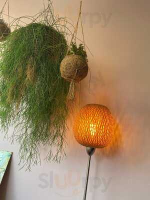 Wanderlust Cafe & Yoga