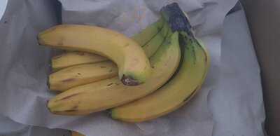 Beim Trübenecker Saftbar