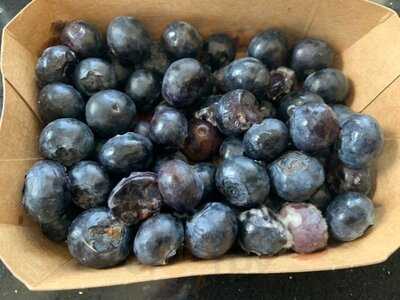 Beim Trübenecker Saftbar