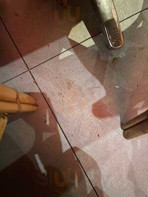 Restaurant Asahi Running Sushi