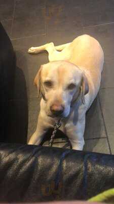 Esto Café Bar Restaurant