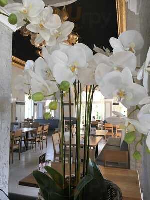 Cafe Botanischer Garten