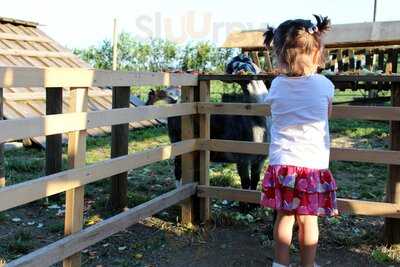 Hofreiter Beerencafé Feldmoching