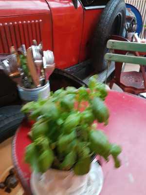 Gaeta Restaurant-café