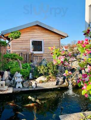 Phong Luu - Asia Bistro