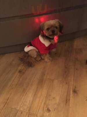 Vis A Vis Cafe-bar-bistro