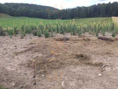 Brotzeit & Leben - Hofladen Am Boarhof