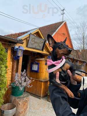 Trattoria Senza Nome